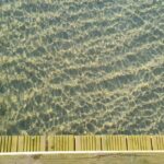 resized_42_api